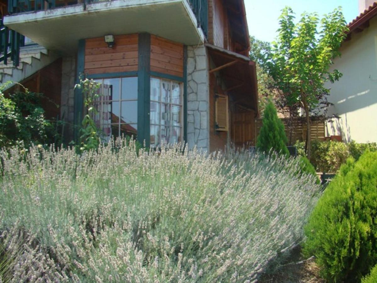 Zeus-Village Οικισμός Φινλανδικών Chalet Με Πισίνες & Γυμναστήριο Molos  Стая снимка